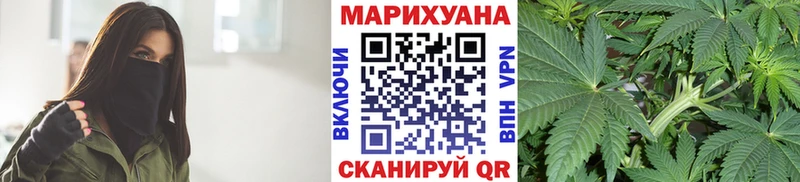 Купить где Новодвинск Каннабис ГИДРОПОН